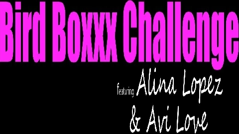 Bird Boxxx Challenge - Alina Lopez, Avi Love