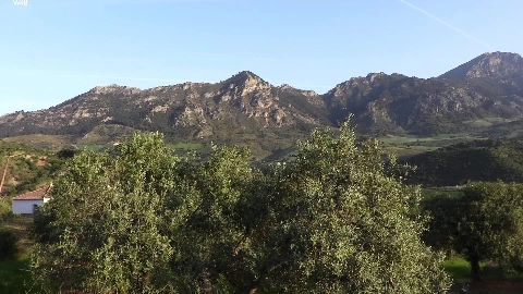 Sierra Nevada - Mila Azul