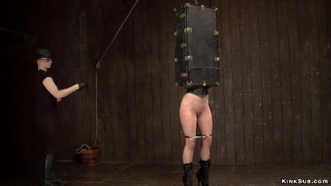 Bound slave in box gets flogged