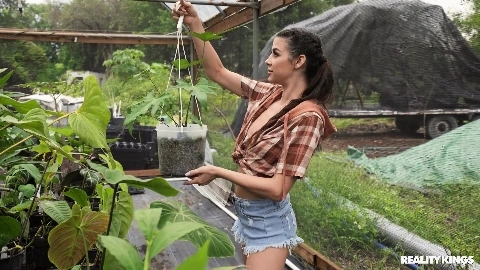Growing Plants and Cocks - Kylie Rocket