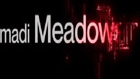 Brenna Mckenna Lexi Lore And Madi Meadow - SheSeducedMe